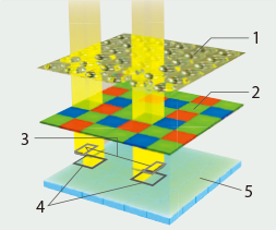 On-sensor phase detection AF